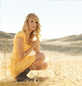 Taylor Swift L.E.I Sundress