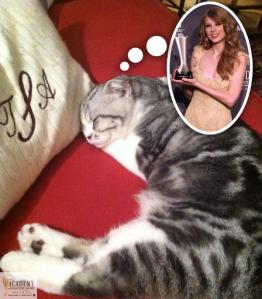 Meredith was caught napping earlier today ... don't forget to vote :)