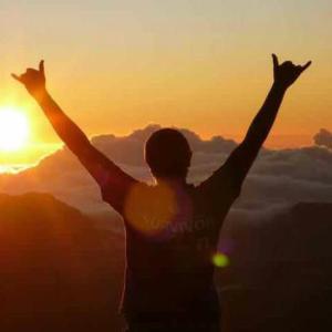 (Source: Natalie Hill Updates)