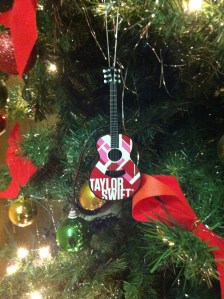 (Photo: TheSwiftAgency.com)